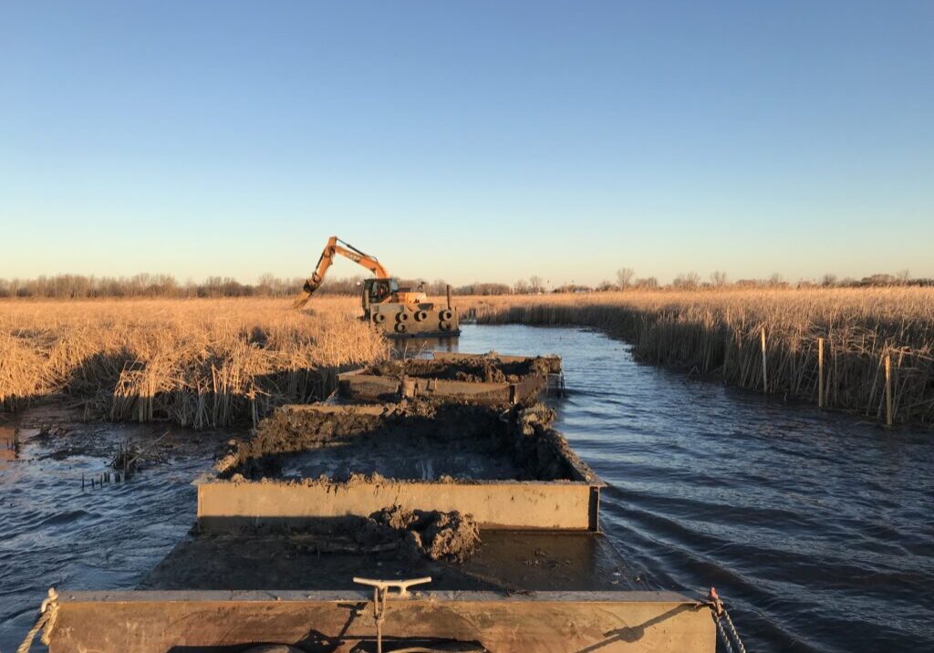 Black Creek Marsh Habitat Restoration